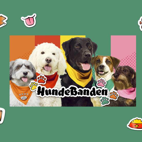 En masse søde hunde