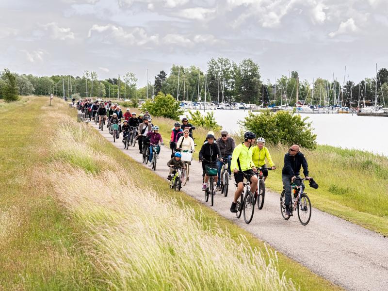 Børn og voksne der cykler ved stranden