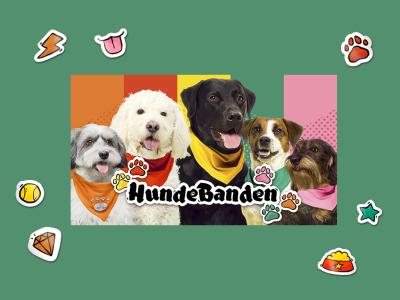 En masse søde hunde